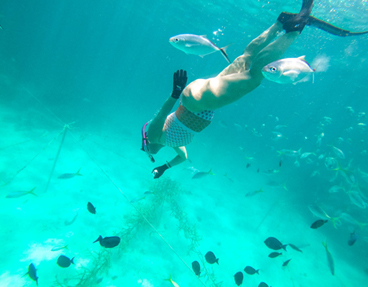 Punta Cana Snorkel Tour